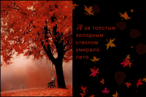  (500x333, 147Kb)