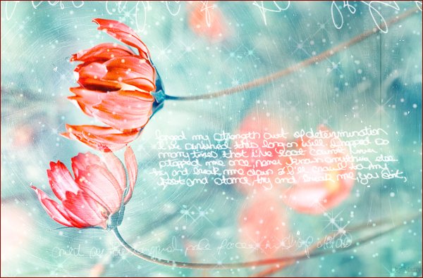  (600x395, 58Kb)