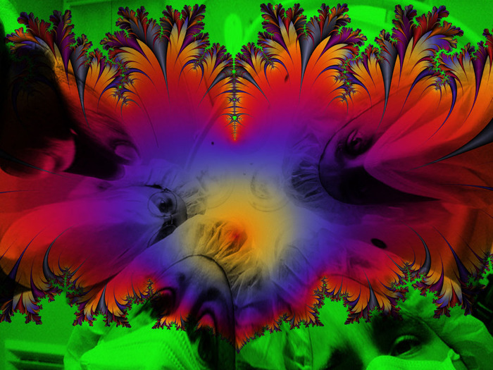  (700x525, 169Kb)