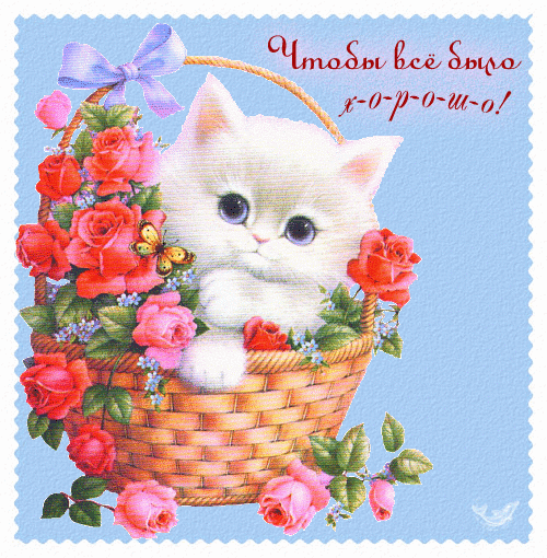 109_congratulations (500x510, 194 Kb)