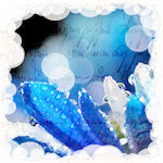  (150x150, 55Kb)