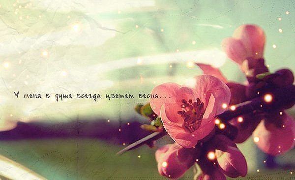  (600x365, 39Kb)