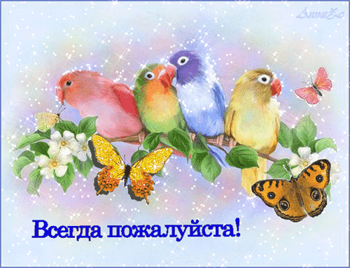  (500x383, 1768Kb)