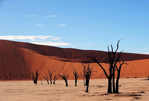  (500x339, 42Kb)