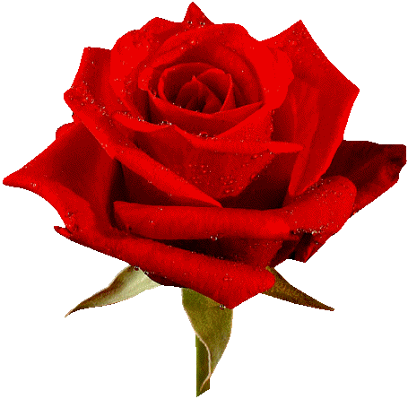 82_flowers (455x445, 178 Kb)