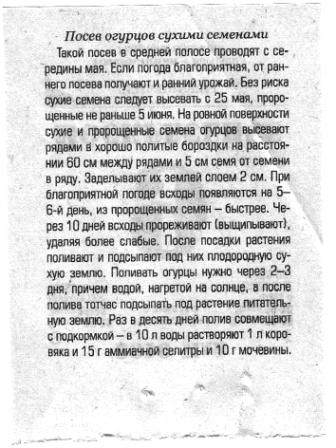  (336x448, 38Kb)