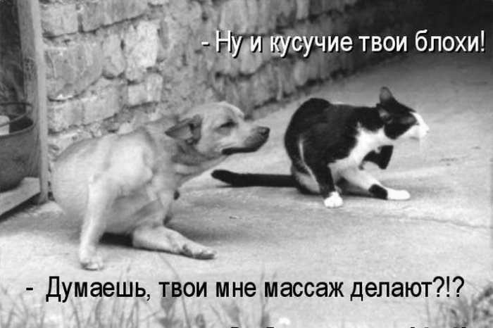  (700x466, 57Kb)
