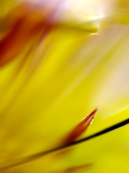  (450x600, 19Kb)