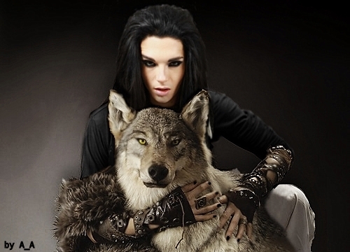 1274249083_BillKaulitzbytooshytoscream (500x360, 121 Kb)