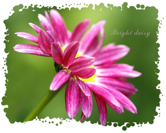  1 (550x440, 309 Kb)