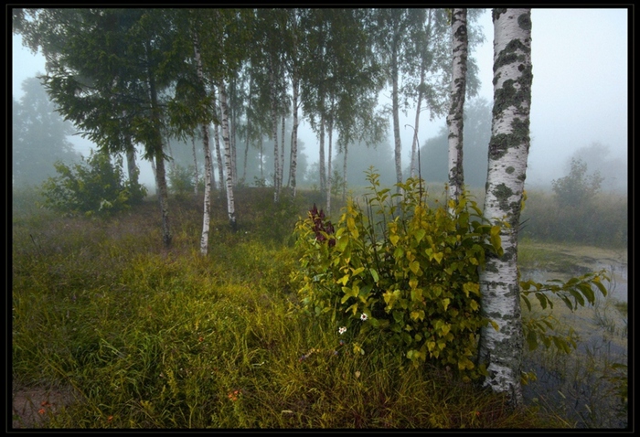  (700x478, 222Kb)