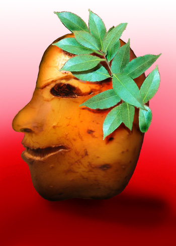  (350x490, 49Kb)