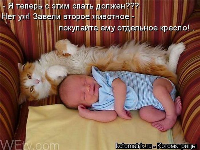 http://img0.liveinternet.ru/images/attach/c/1//59/600/59600489_kotomatrix_31.jpg