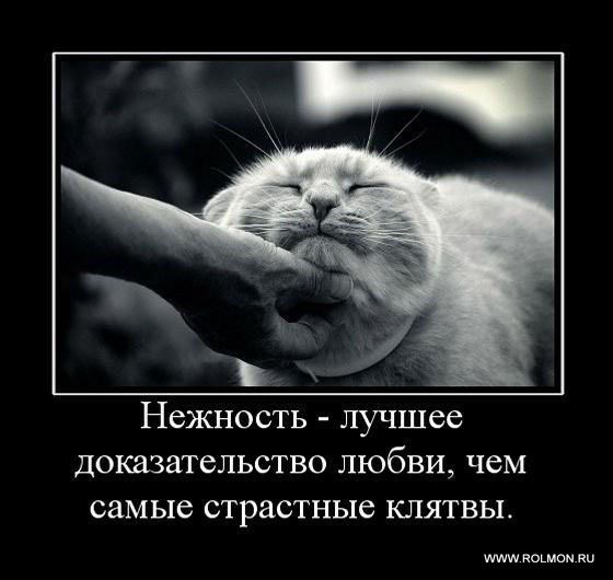  (560x530, 48Kb)