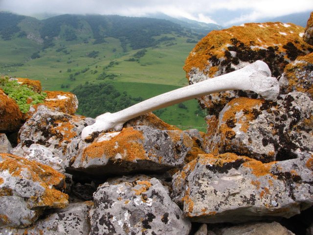  (640x480, 104Kb)