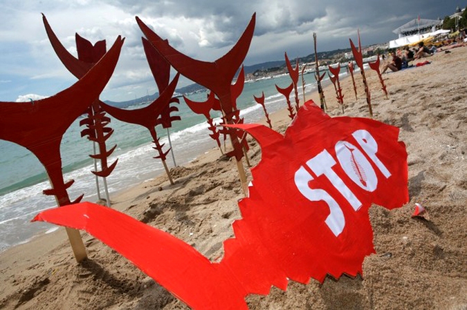 '' (Greenpeace)     , , , 15  2010 .