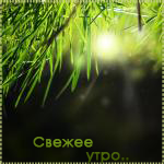  (150x150, 45Kb)