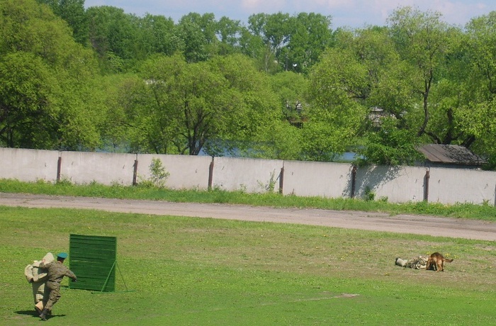 14 (700x460, 167 Kb)