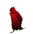  (110x114, 23Kb)