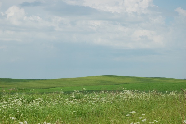  (600x399, 109Kb)