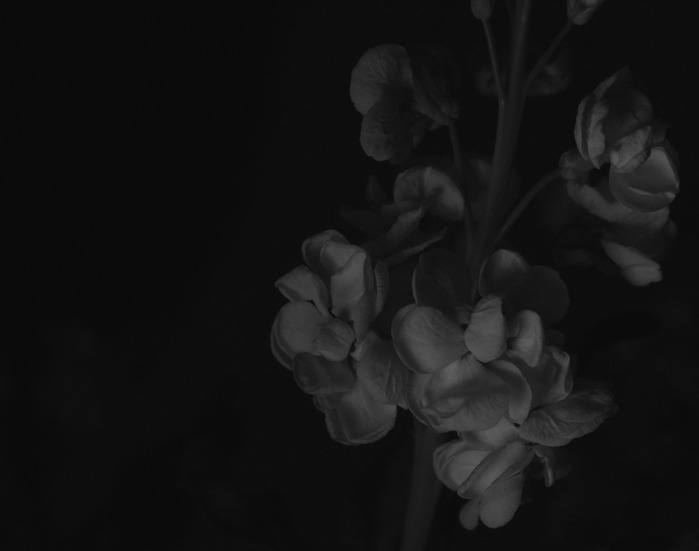  (699x551, 27Kb)