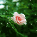  (150x150, 17Kb)