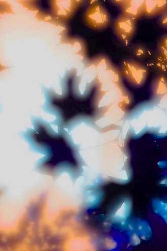  (332x500, 29Kb)