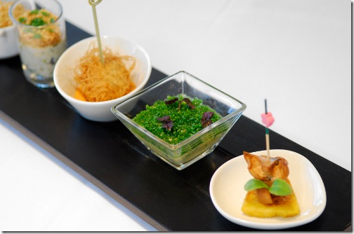 sha%20image04