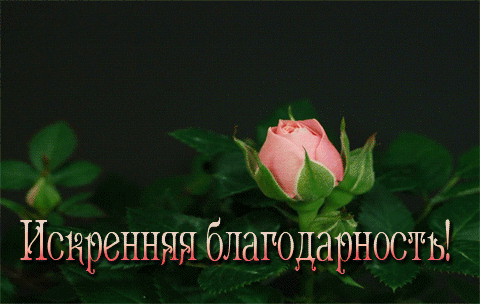 8c6548a0b165 (480x304, 1405 Kb)