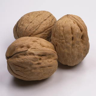 walnuts (320x320, 16 Kb)
