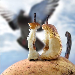  (300x300, 27Kb)