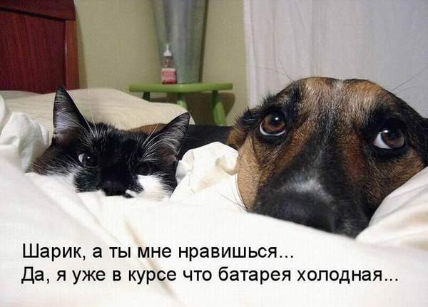 http://img0.liveinternet.ru/images/attach/c/1//61/331/61331097_d740ae98edd020fab088e63c880e980d.jpg