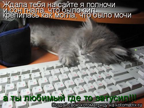  (500x375, 42Kb)
