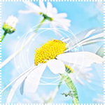  (150x150, 44Kb)