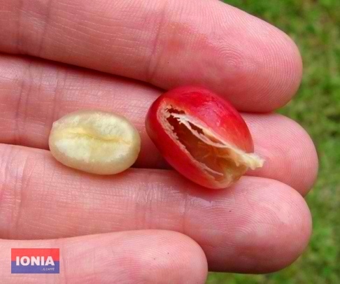  (486x406, 80Kb)