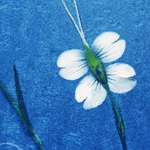  (150x150, 34Kb)