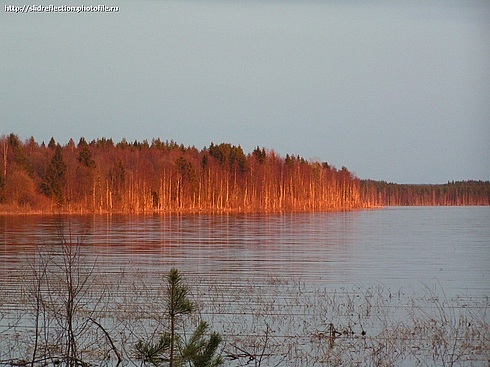 куштозеро вытегорского района фото онлайн куштозеро вытегорского района фото