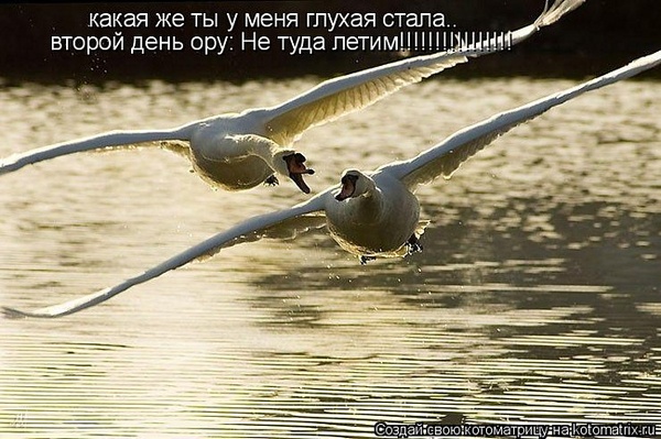 http://img0.liveinternet.ru/images/attach/c/1//62/198/62198708_fa32c49b1a57f71424865c507883713d.jpg