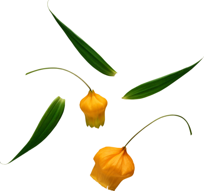  (699x652, 154Kb)