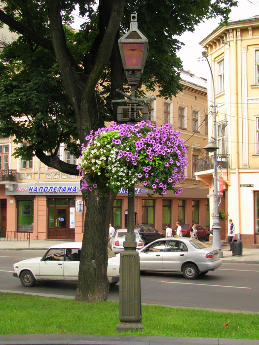 IMG_5193 (525x700, 223 Kb)