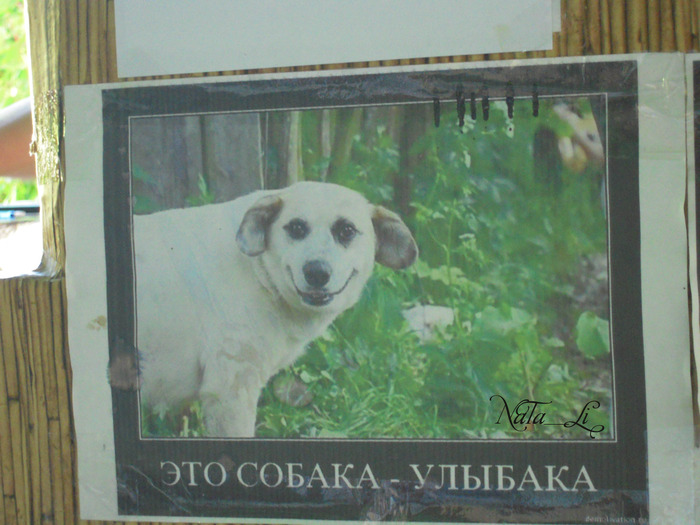  (700x525, 122Kb)