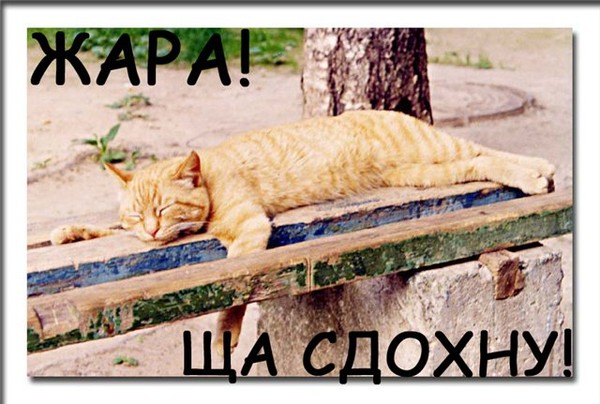  (600x404, 74Kb)