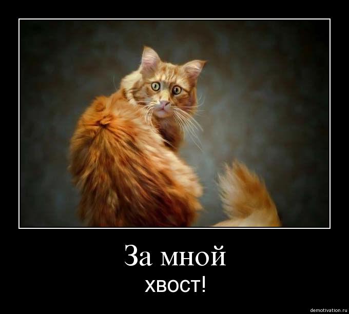  (680x612, 31Kb)