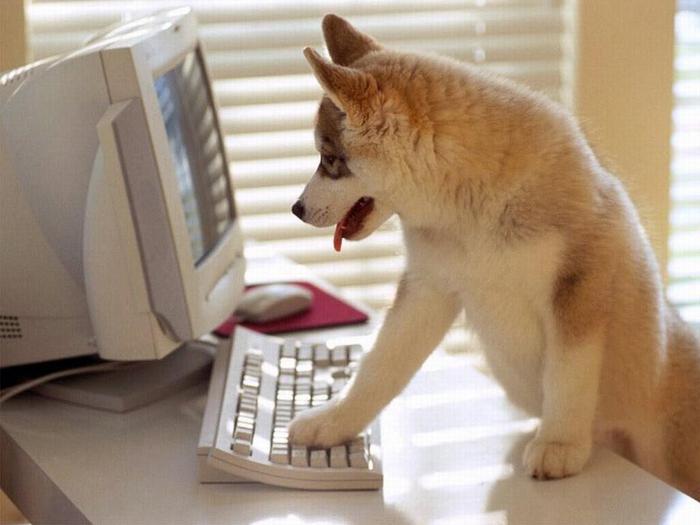  (700x525, 38Kb)