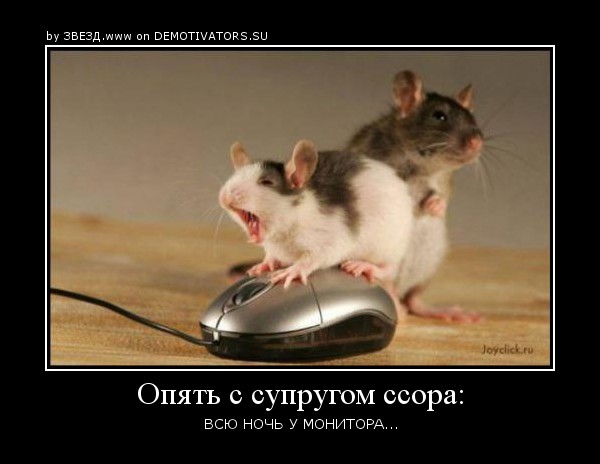 http://img0.liveinternet.ru/images/attach/c/1//62/480/62480372_1281287563_0_317eb_438c7e6f_orig.jpg