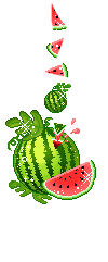  (100x241, 30Kb)