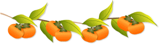  (310x86, 7Kb)