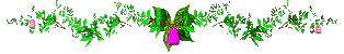  (314x50, 21Kb)