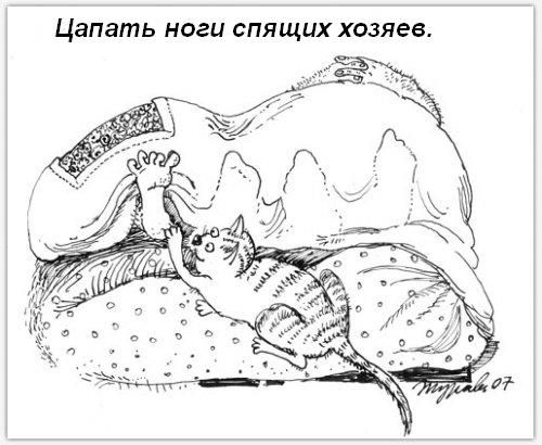  (500x410, 42Kb)