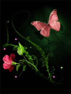 cc4crtqc8o_butterfly (240x320, 128 Kb)